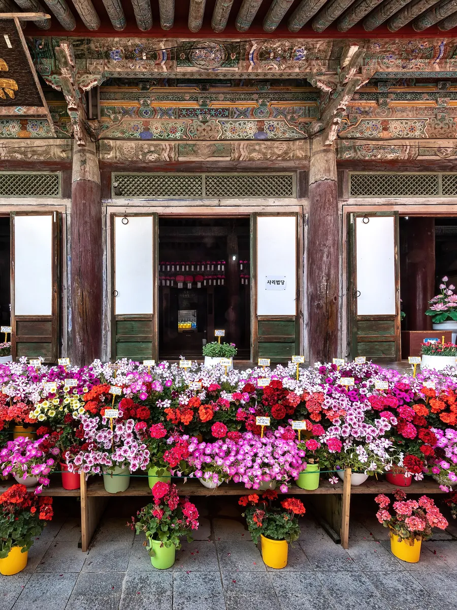 Bulguksa temple, Gyeongju