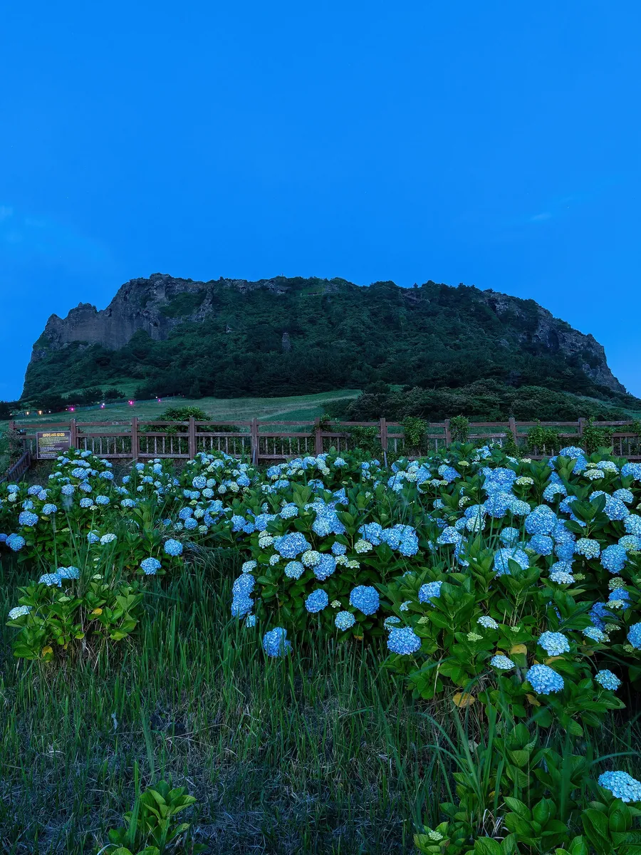Seongsan Ilchulbong crater, Jeju